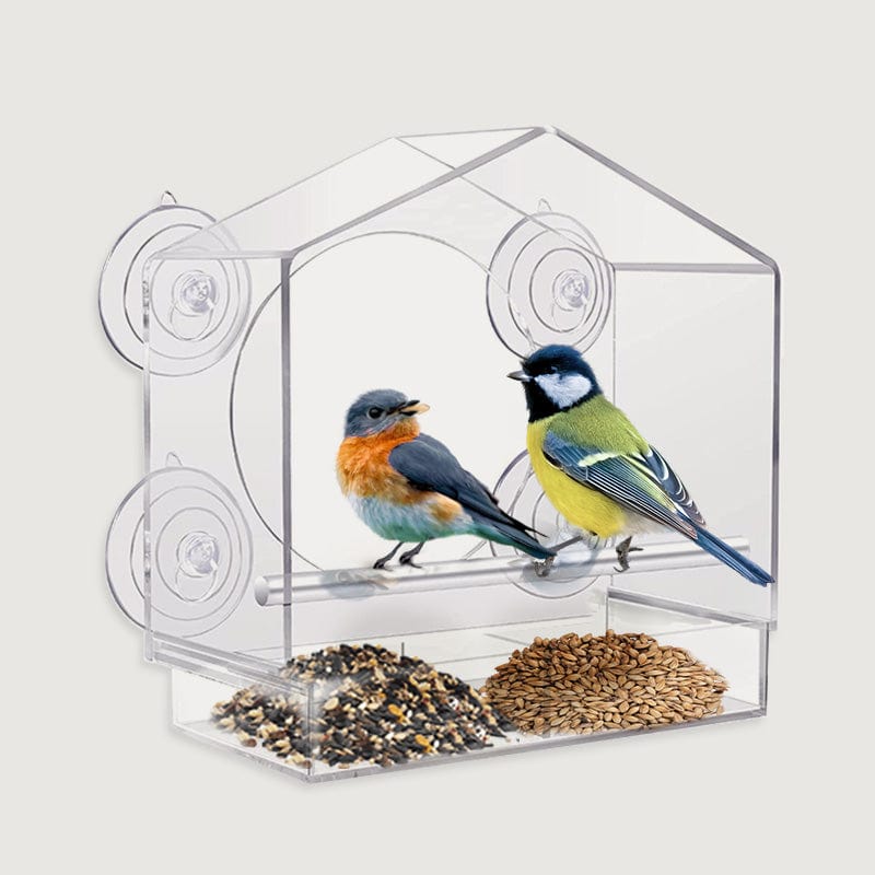 The CatTV™ High-Definition Window Bird Feeder